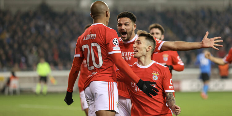 کلوب بروژ بنفیکا