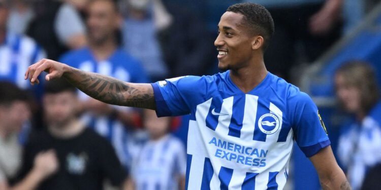 برایتون ولورهمپتون