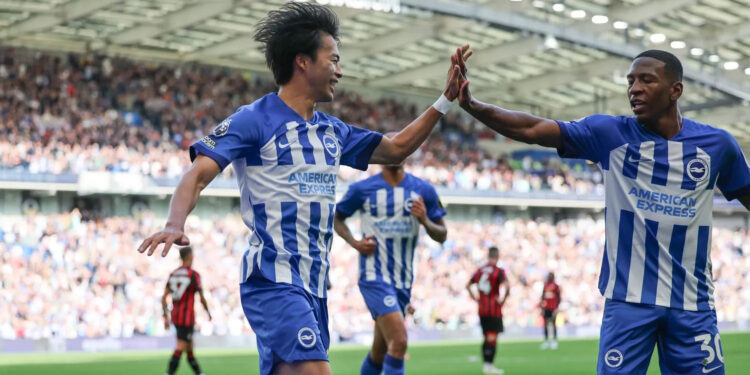 نکات بازی شفیلد یونایتد – برایتون